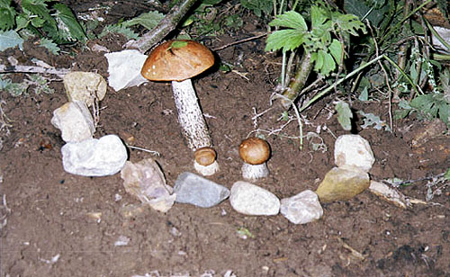  . 1999.
